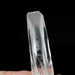 Lemurian Seed Crystal 56 g 89x23mm - InnerVision Crystals