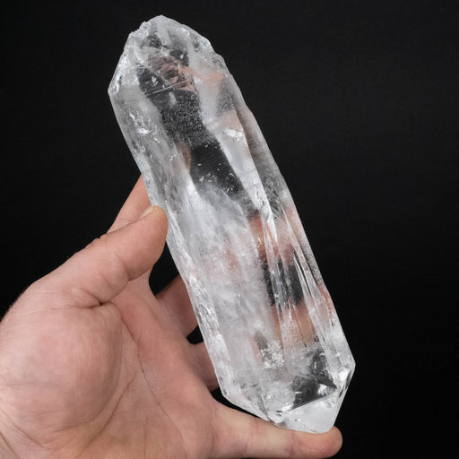 Lemurian Seed Crystal 677 g 190x57mm DT - InnerVision Crystals