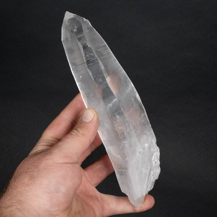 Lemurian Seed Crystal 678 g 199x58mm - InnerVision Crystals