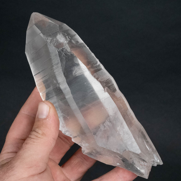 Lemurian Seed Crystal 736 g 168x70mm DT - InnerVision Crystals