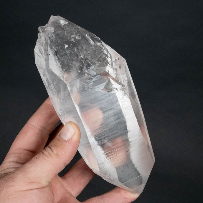 Lemurian Seed Crystal 736 g 168x70mm DT - InnerVision Crystals