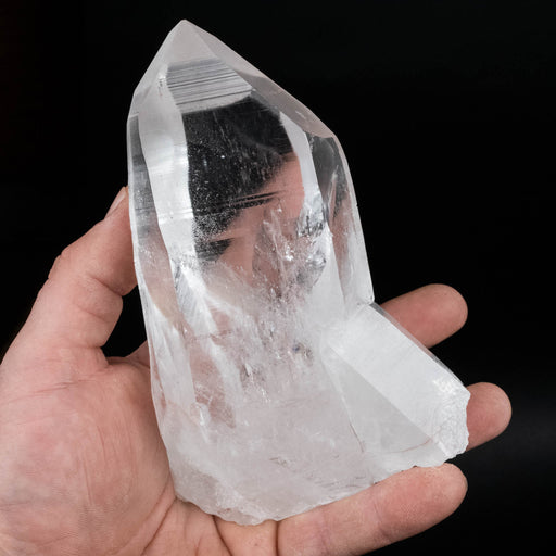 Lemurian Seed Crystal 737 g 145x85mm - InnerVision Crystals