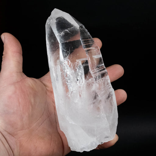 Lemurian Seed Crystal 857 g 156x76mm - InnerVision Crystals