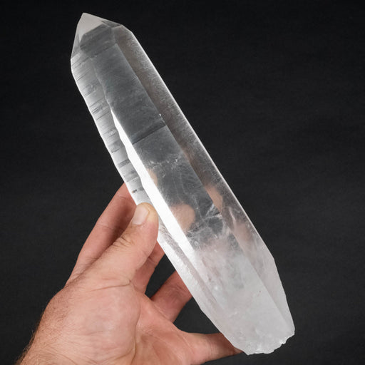 Lemurian Seed Crystal 976 g 9.5x2.25in - InnerVision Crystals