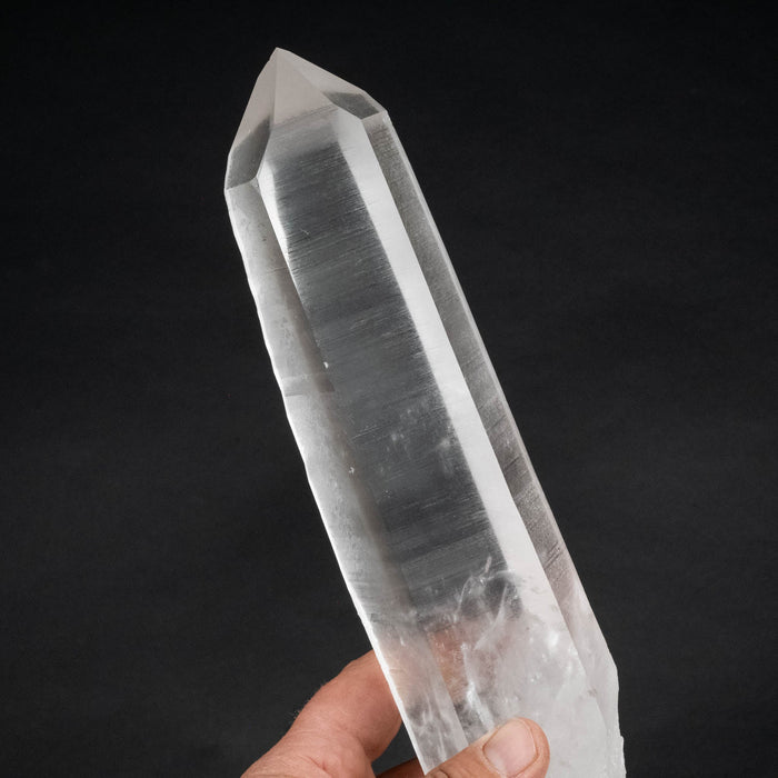 Lemurian Seed Crystal 976 g 9.5x2.25in - InnerVision Crystals