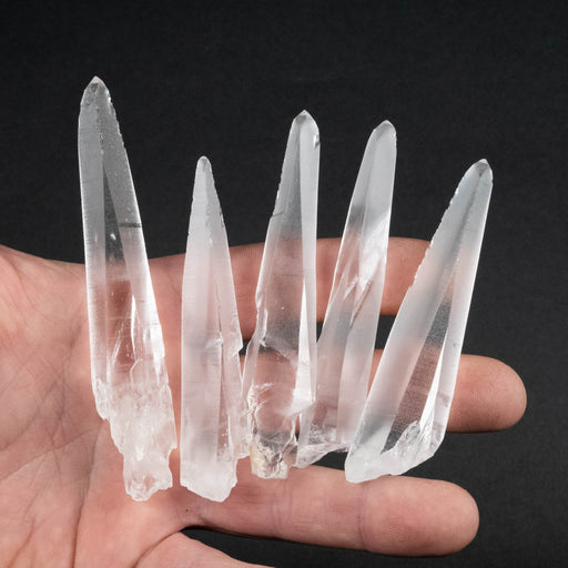 Lemurian Seed Crystal Laser Lot 127 g 81mm - 103mm - InnerVision Crystals