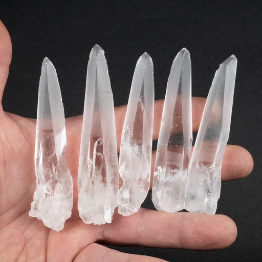 Lemurian Seed Crystal Laser Lot 160 g 84mm - 91mm - InnerVision Crystals