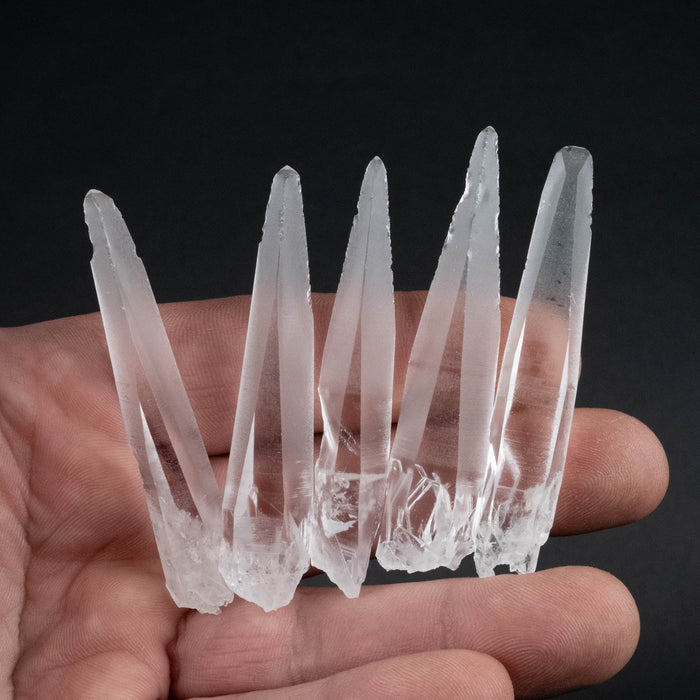 Lemurian Seed Crystal Laser Lot 47 g 64mm - 66mm - InnerVision Crystals