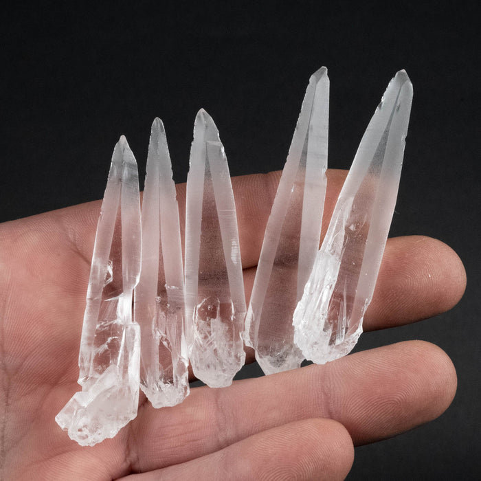 Lemurian Seed Crystal Laser Lot 49 g 60mm - 66mm - InnerVision Crystals