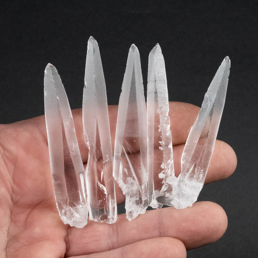 Lemurian Seed Crystal Laser Lot 57 g 66mm - 77mm - InnerVision Crystals