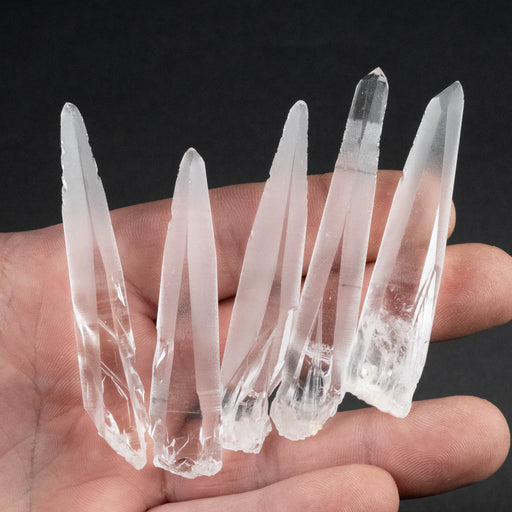 Lemurian Seed Crystal Laser Lot 61 g 65mm - 75mm - InnerVision Crystals