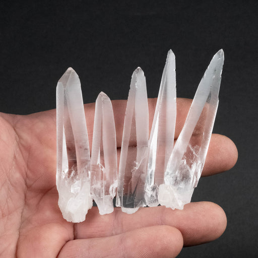 Lemurian Seed Crystal Laser Lot 66 g 53mm - 67mm - InnerVision Crystals