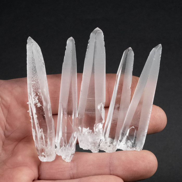 Lemurian Seed Crystal Laser Lot 66 g 62mm - 71mm - InnerVision Crystals