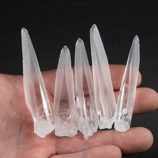 Lemurian Seed Crystal Laser Lot 77 g 64mm - 78mm - InnerVision Crystals