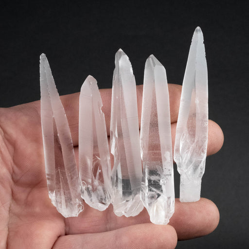 Lemurian Seed Crystal Laser Lot 80 g 61mm - 73mm - InnerVision Crystals