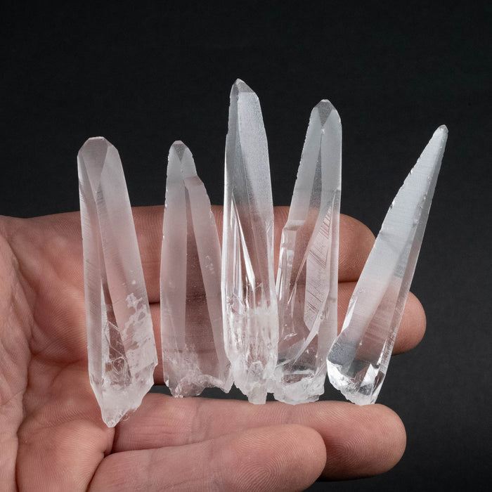 Lemurian Seed Crystal Laser Lot 81 g 63mm - 73mm - InnerVision Crystals