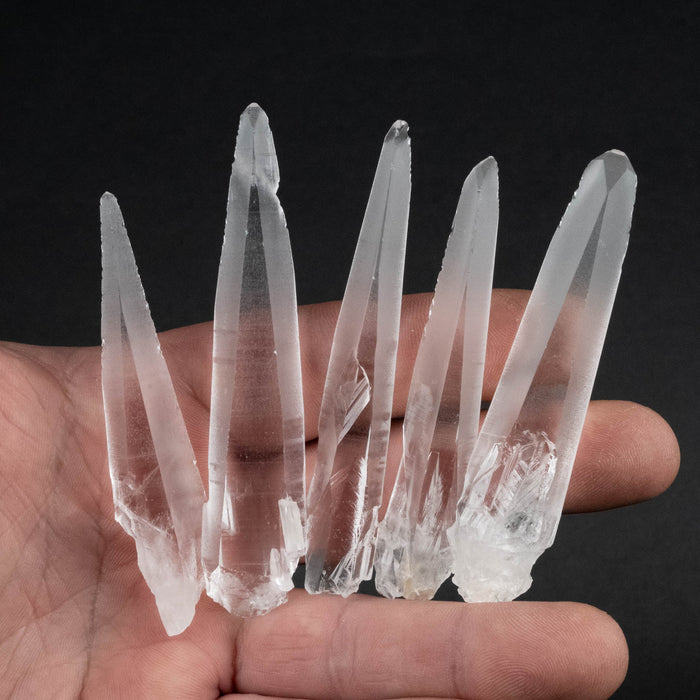 Lemurian Seed Crystal Laser Lot 83 g 75mm - 82mm - InnerVision Crystals