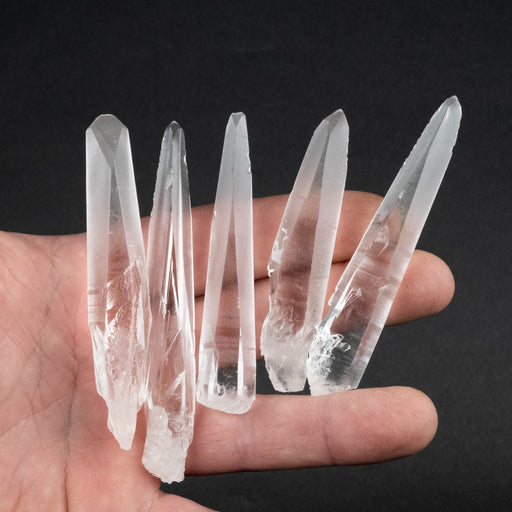 Lemurian Seed Crystal Laser Lot 98 g 73mm - 93mm - InnerVision Crystals