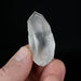 Lemurian Seed Crystal w/ Phantom 23 g 45x21mm - InnerVision Crystals