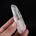 Lemurian Seed Crystal w/ Phantom 66.81 g 91x25mm - InnerVision Crystals