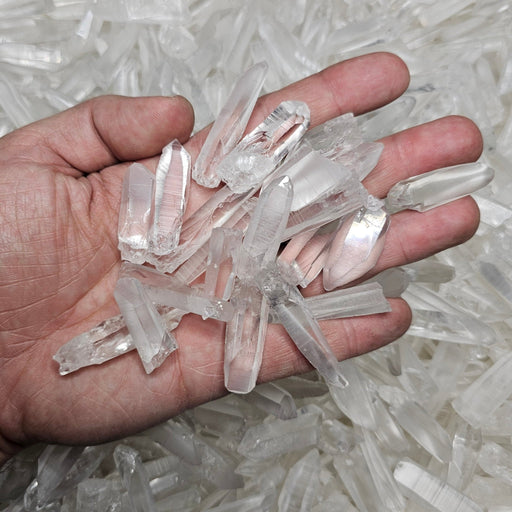 Lemurian Seed Quartz Crystals BRAZIL 1" - 2" | Wholesale - InnerVision Crystals