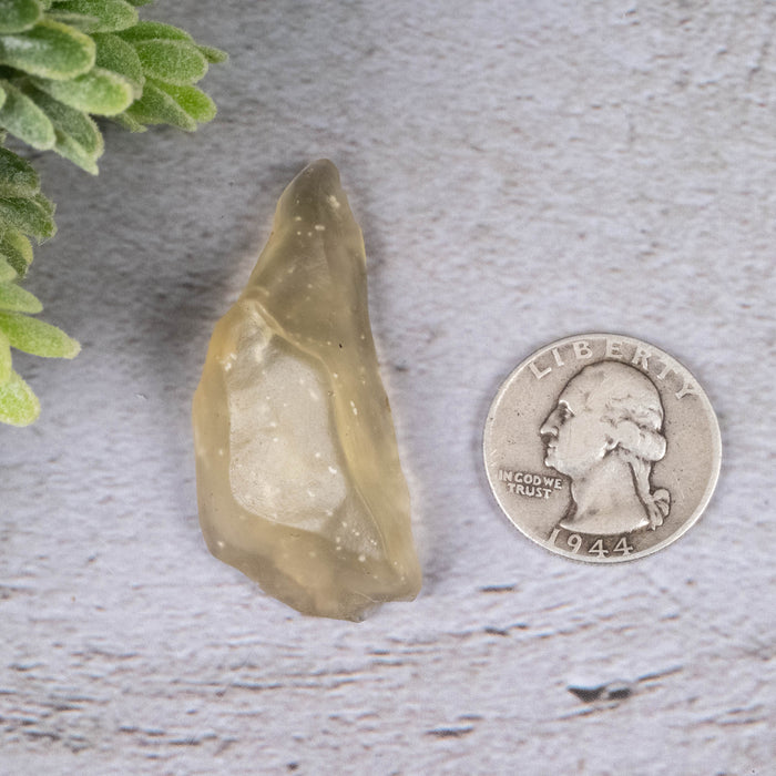 Libyan Desert Glass 10.35 g 48x21x12mm - InnerVision Crystals