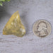 Libyan Desert Glass 11.12 g 35x26x19mm - InnerVision Crystals