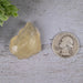 Libyan Desert Glass 11.43 g 31x28x16mm - InnerVision Crystals