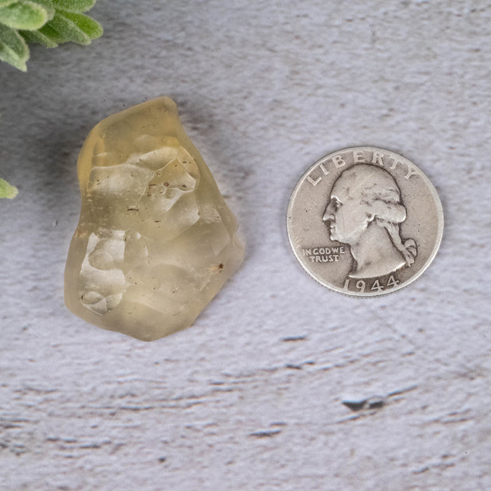 Libyan Desert Glass 11.52 g 37x27x15mm - InnerVision Crystals