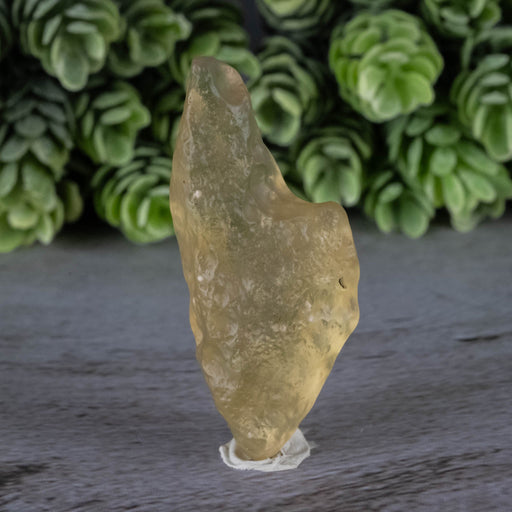 Libyan Desert Glass 12.63 g 48x20x16mm - InnerVision Crystals