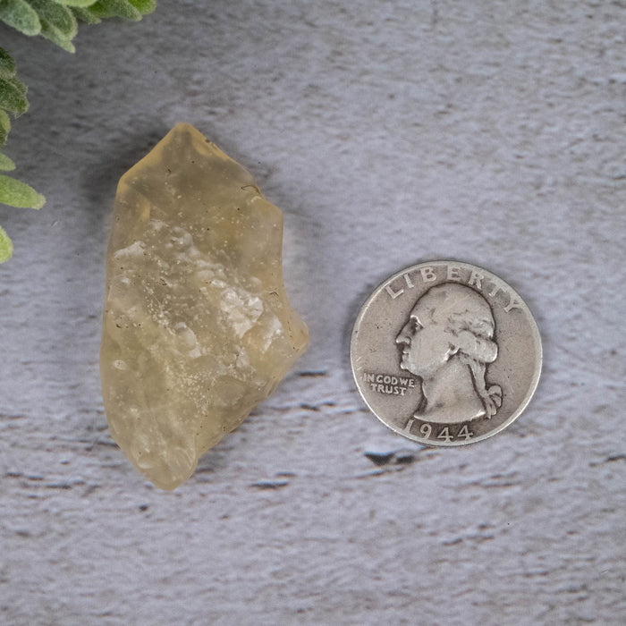 Libyan Desert Glass 12.72 g 47x26x12mm - InnerVision Crystals