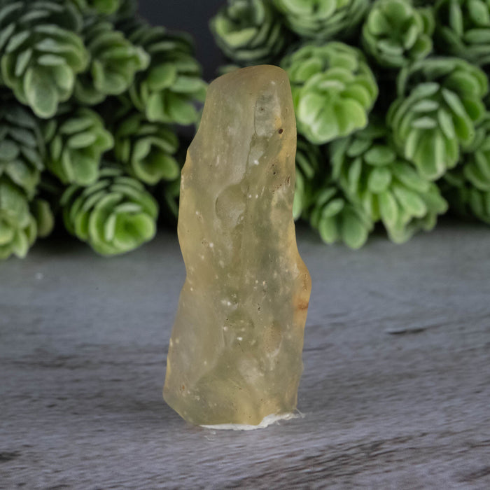 Libyan Desert Glass 13.84 g 49x17x14mm - InnerVision Crystals