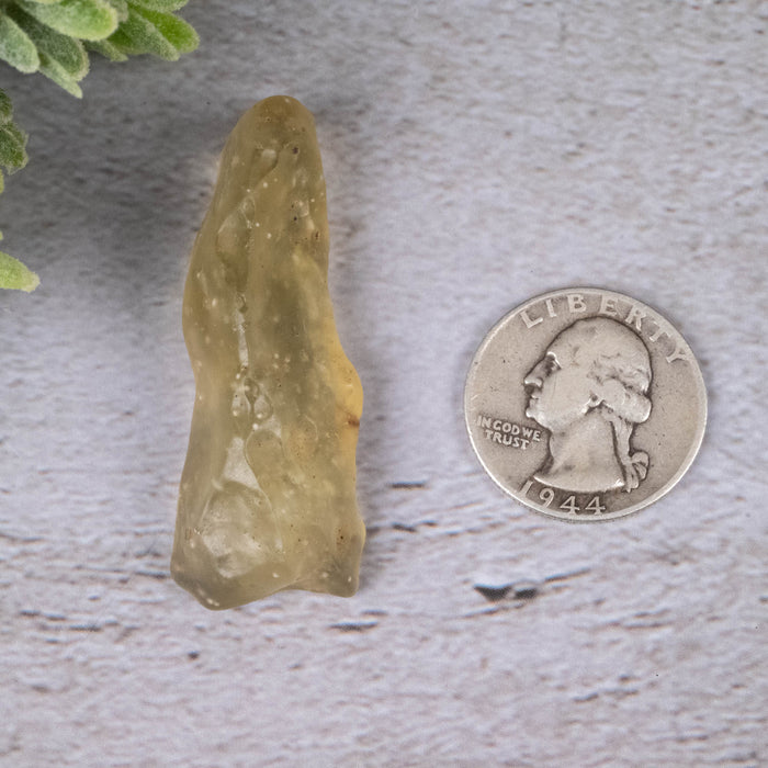 Libyan Desert Glass 13.84 g 49x17x14mm - InnerVision Crystals