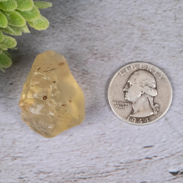 Libyan Desert Glass 14.12 g 32x23x20mm - InnerVision Crystals