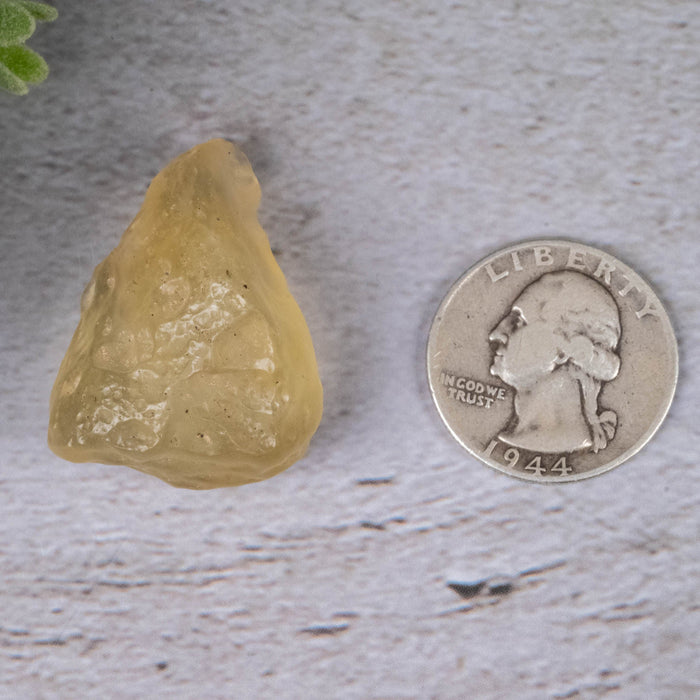 Libyan Desert Glass 15.01 g 34x27x20mm - InnerVision Crystals