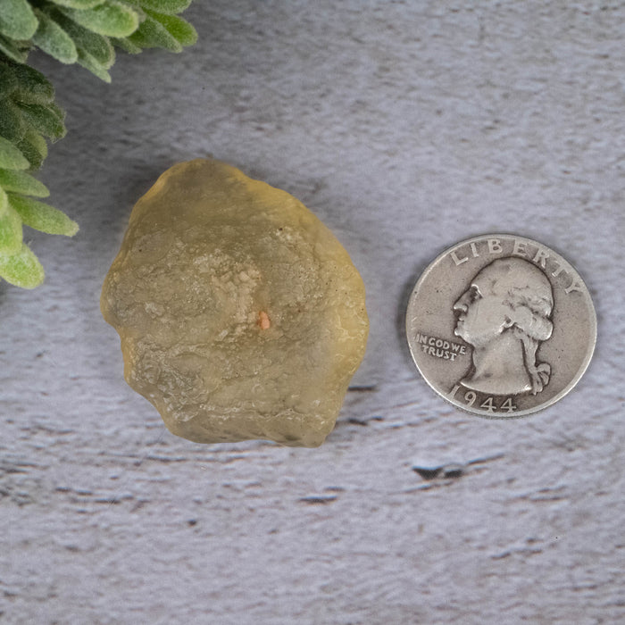 Libyan Desert Glass 15.02 g 40x32x14mm - InnerVision Crystals