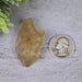 Libyan Desert Glass 15.55 g 45x28x18mm - InnerVision Crystals