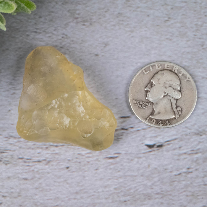 Libyan Desert Glass 15.82 g 44x27x14mm - InnerVision Crystals