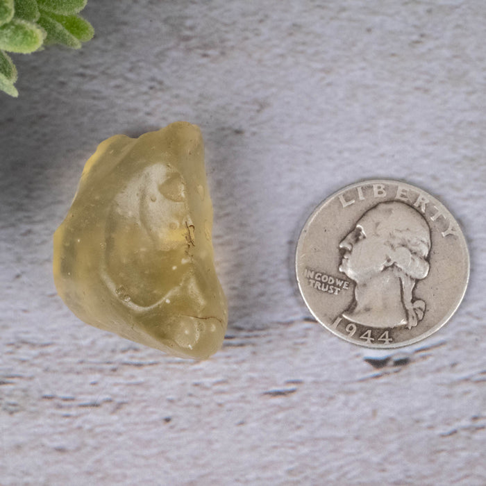 Libyan Desert Glass 16.39 g 33x23x19mm - InnerVision Crystals