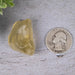 Libyan Desert Glass 16.39 g 33x23x19mm - InnerVision Crystals