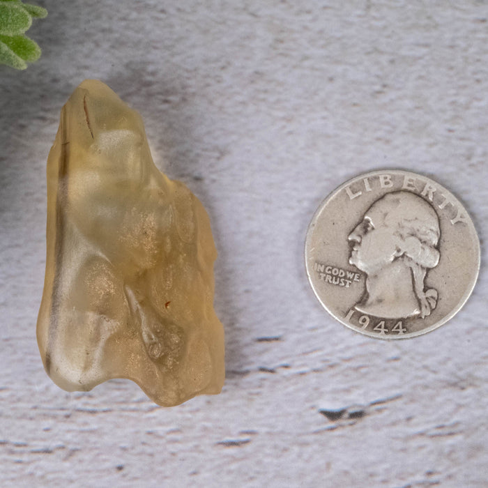 Libyan Desert Glass 16.60 g 43x25x17mm - InnerVision Crystals