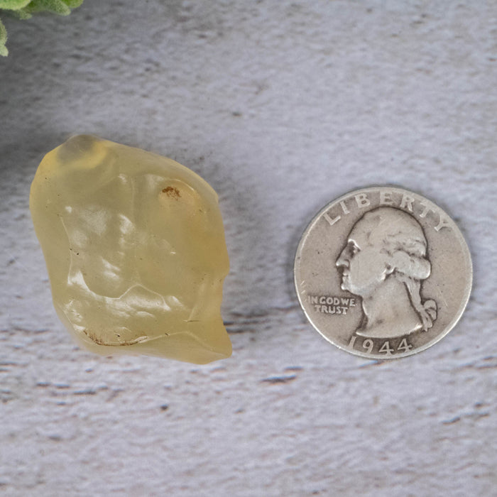 Libyan Desert Glass 17.12 g 37x27x20mm - InnerVision Crystals