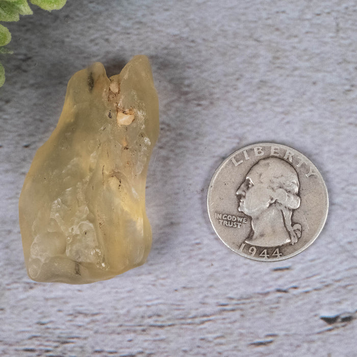 Libyan Desert Glass 18.12 g 46x27x14mm - InnerVision Crystals