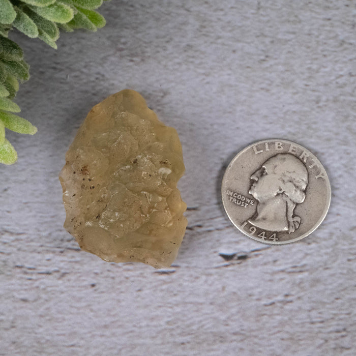 Libyan Desert Glass 18.74 g 39x31x21mm - InnerVision Crystals