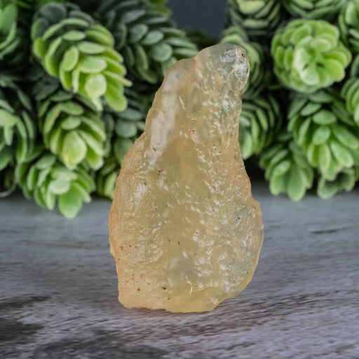 Libyan Desert Glass 18.83 g 50x28x16mm - InnerVision Crystals