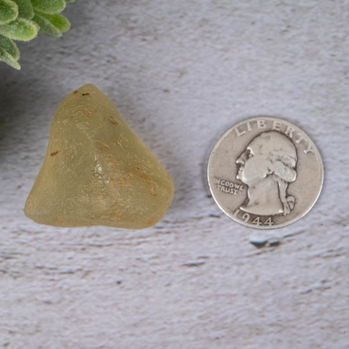 Libyan Desert Glass 19.93 g 31x28x22mm - InnerVision Crystals