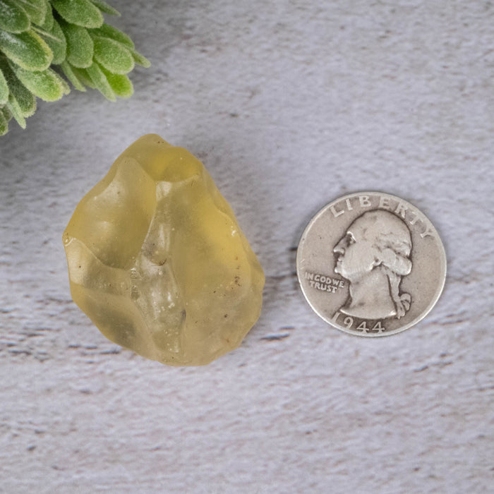 Libyan Desert Glass 23.01 g 32x28x25mm - InnerVision Crystals