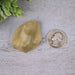 Libyan Desert Glass 23.40 g 40x31x17mm - InnerVision Crystals