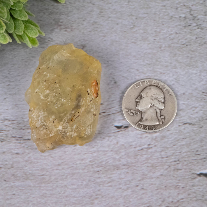 Libyan Desert Glass 28.51 g 46x31x19mm - InnerVision Crystals