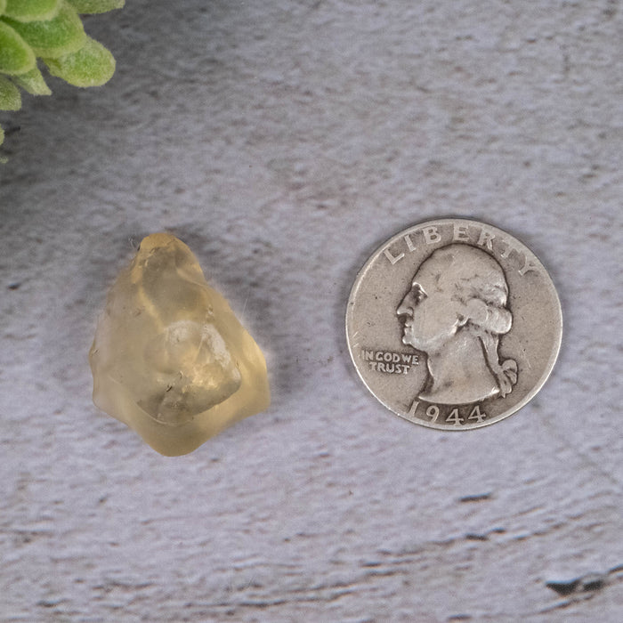 Libyan Desert Glass 4.61 g 23x18x10mm - InnerVision Crystals